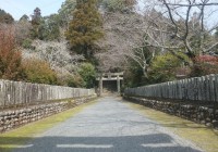 美奈宜神社イメージ1